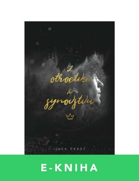 Z OTROCTVA K SYNOVSTVU – Jack a Trisha Frost - E kniha