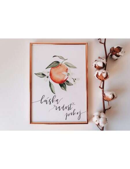 OVOCIE DUCHA – art print